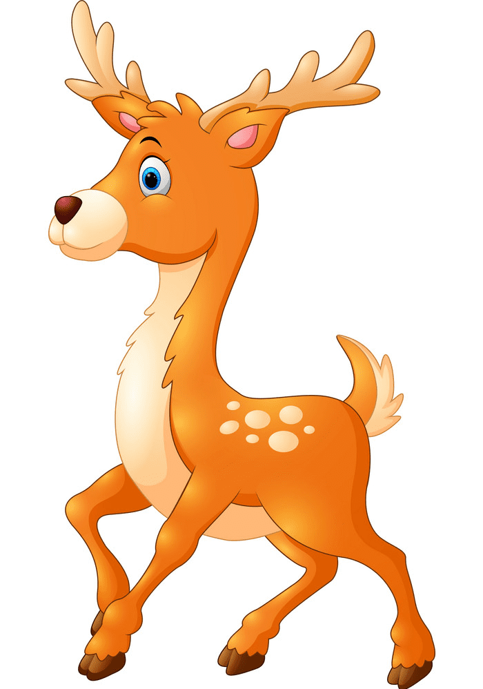 Deer clipart images