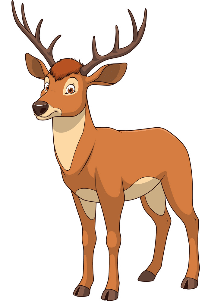 Deer clipart png