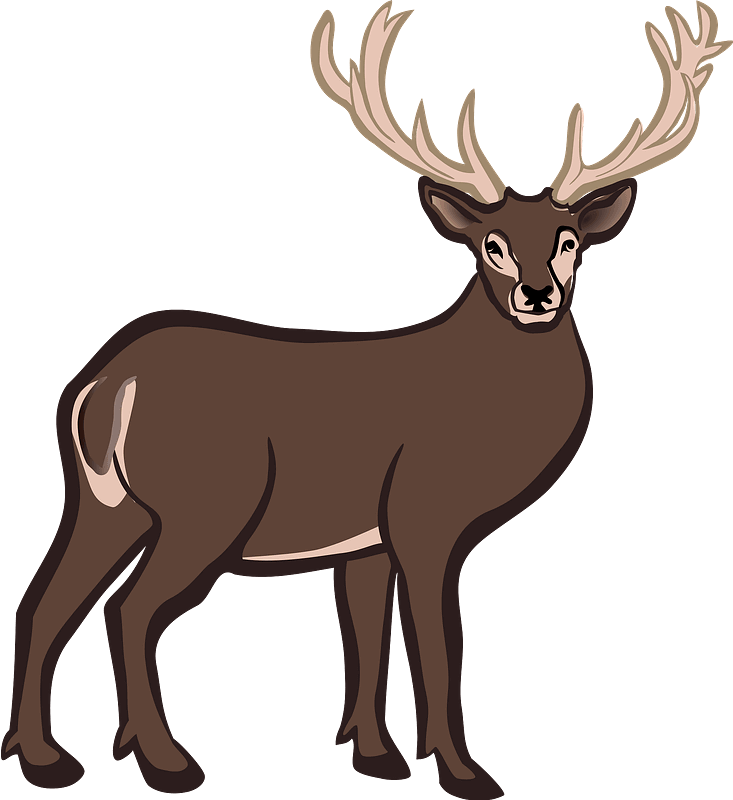 Deer clipart transparent background