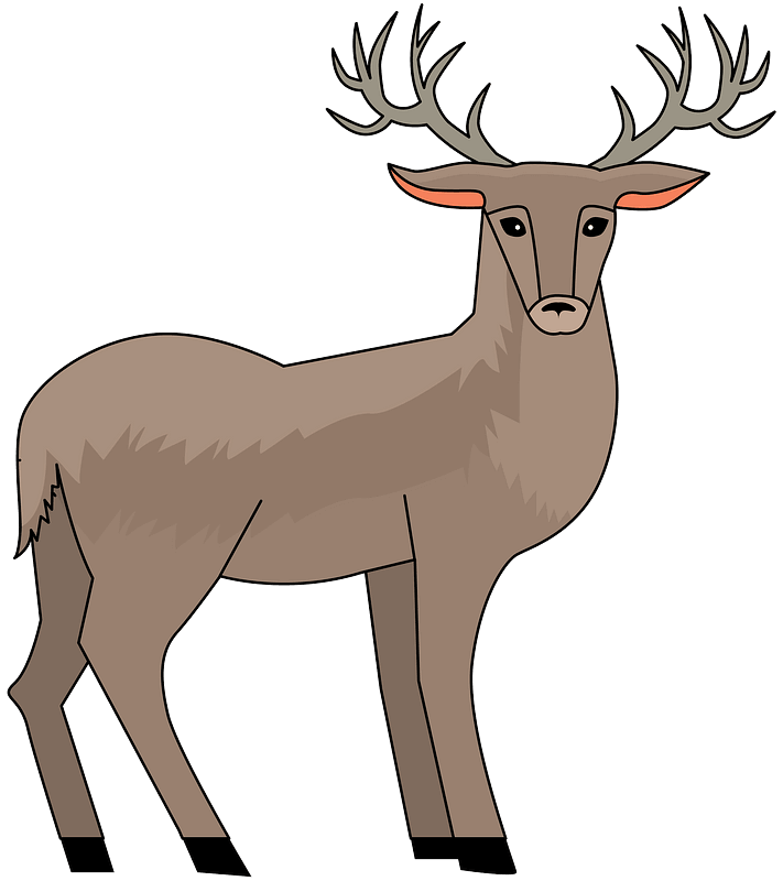Deer clipart transparent
