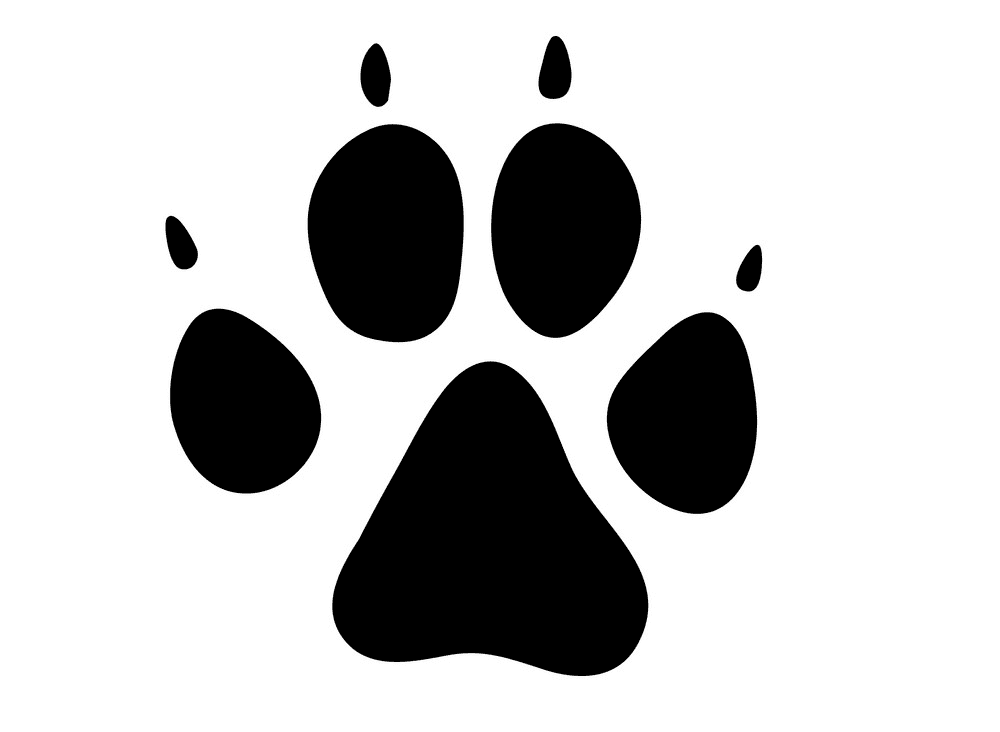 Dog Footprint clipart png image