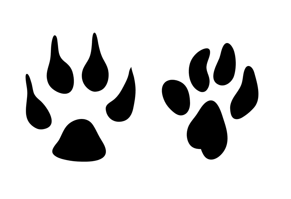 Dog Footprints clipart image