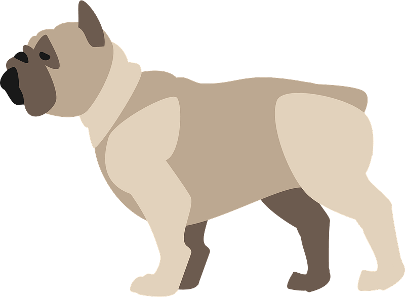Download Bulldog clipart transparent for free