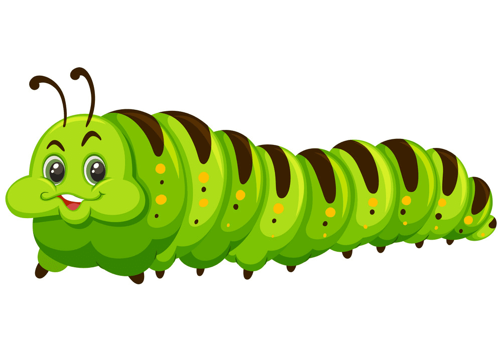 Download Cute Caterpillar clipart free