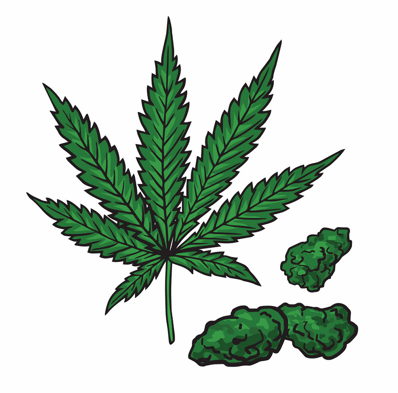 Download Weed clipart for free
