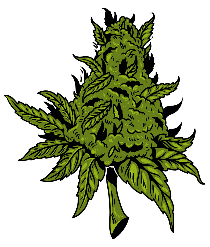 Download Weed clipart image