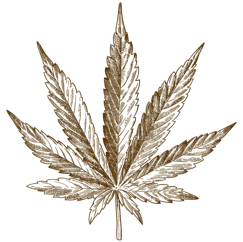 Download Weed clipart png