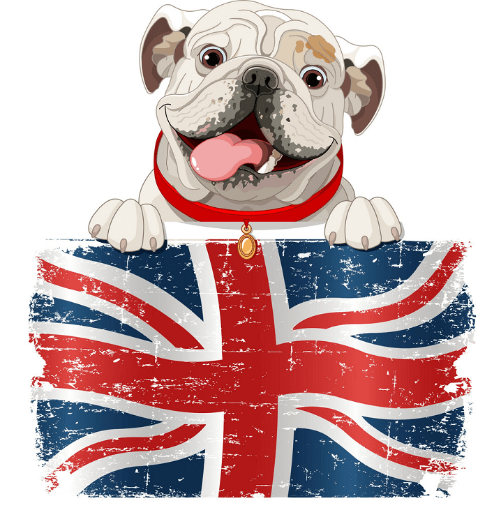 English Bulldog clipart free image