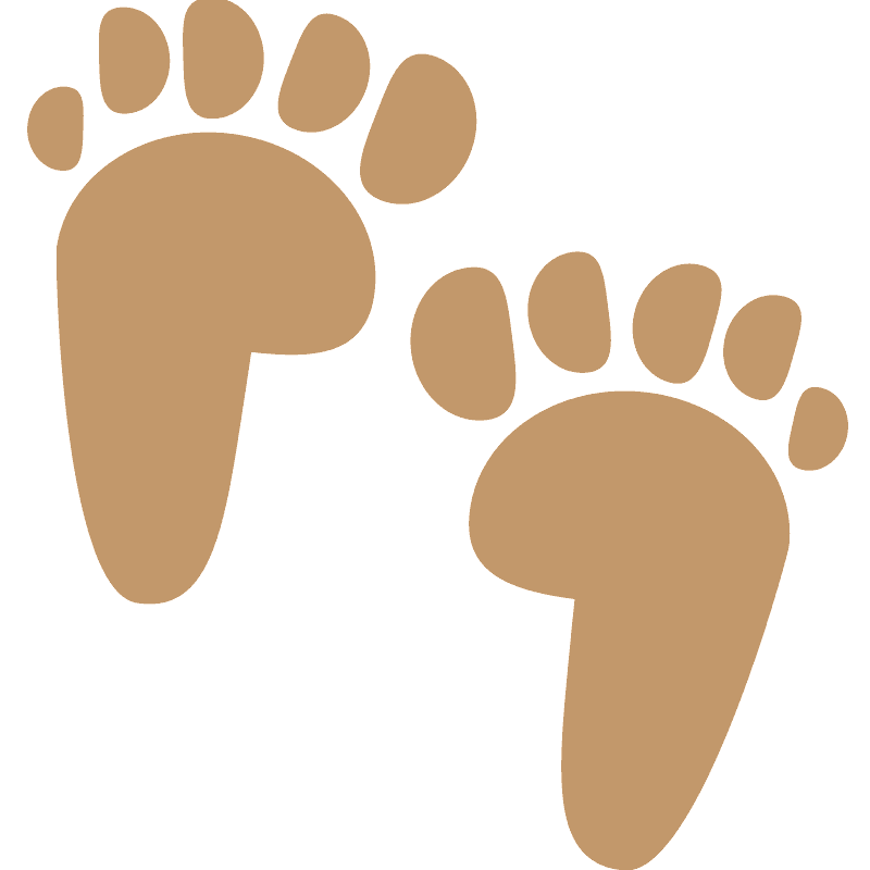 Footprints clipart transparent 3