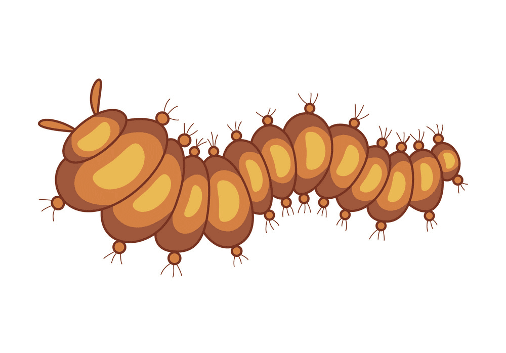 Free Caterpillar clipart images