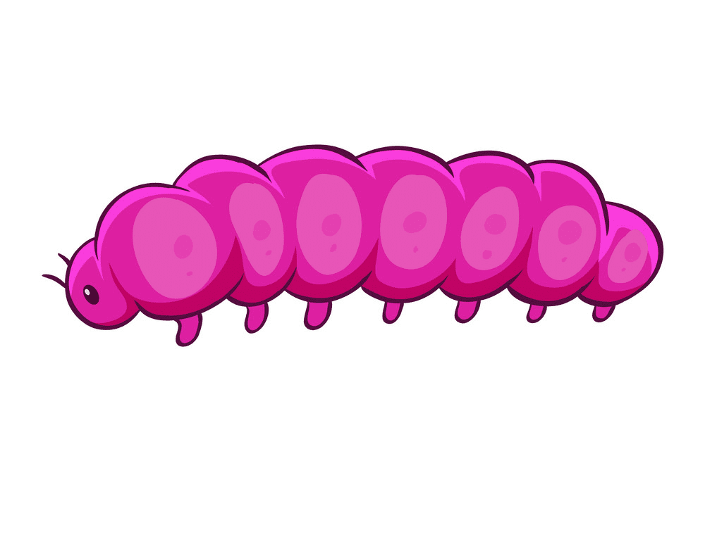 Free Caterpillar clipart png images