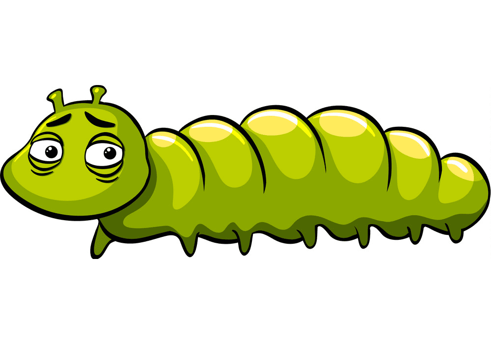 Free Caterpillar clipart