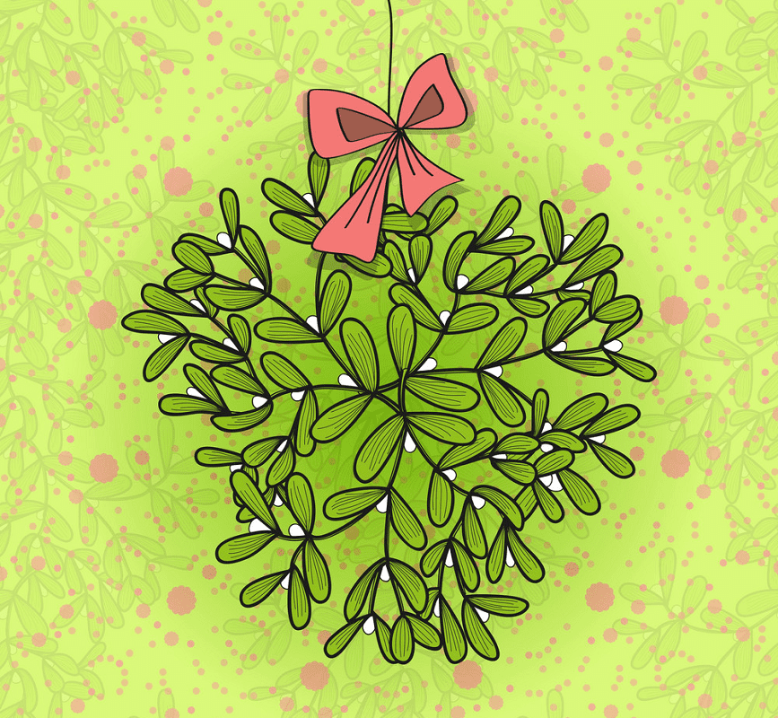 Free Clipart Mistletoe