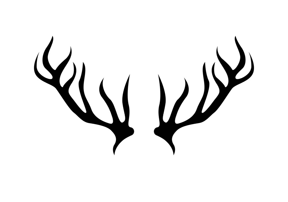 Free Deer Antlers clipart png image