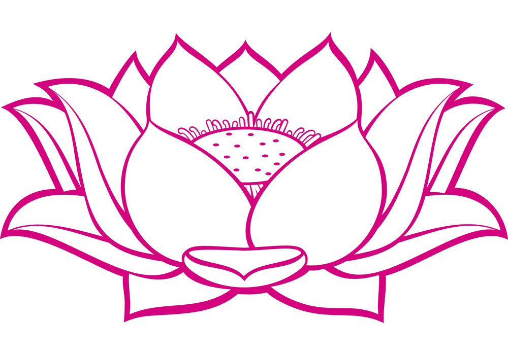 Free Lotus clipart image