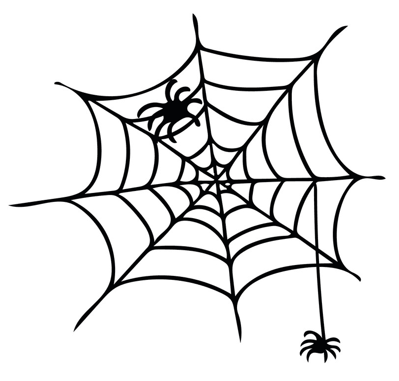 Free Spider Web clipart image