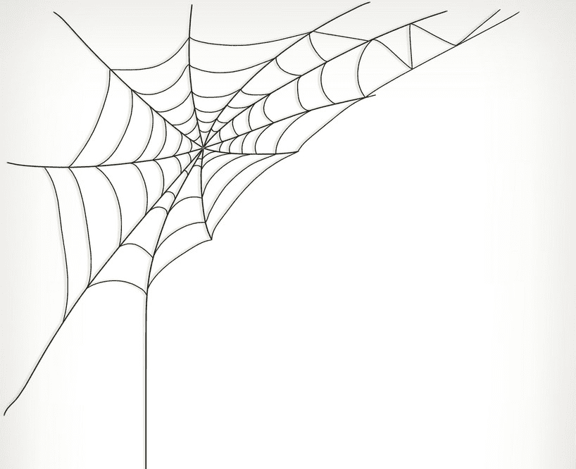 Free Spider Web clipart png image