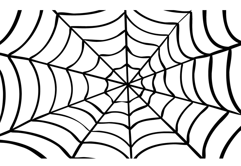 Free Spider Web clipart png