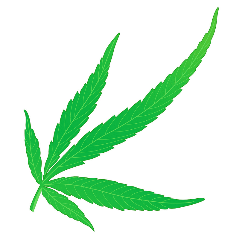 Free Weed clipart images