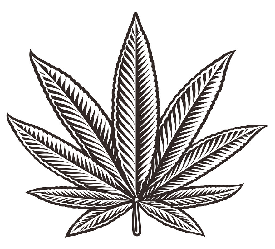 Free Weed clipart png images
