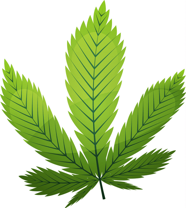 Free Weed clipart png