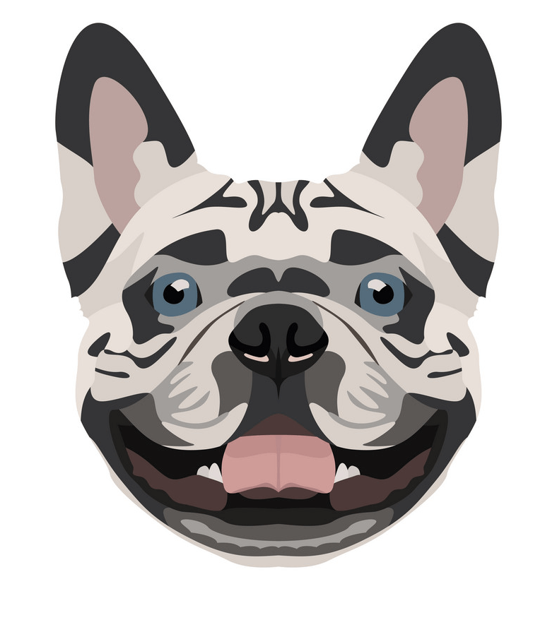 French Bulldog Face clipart free