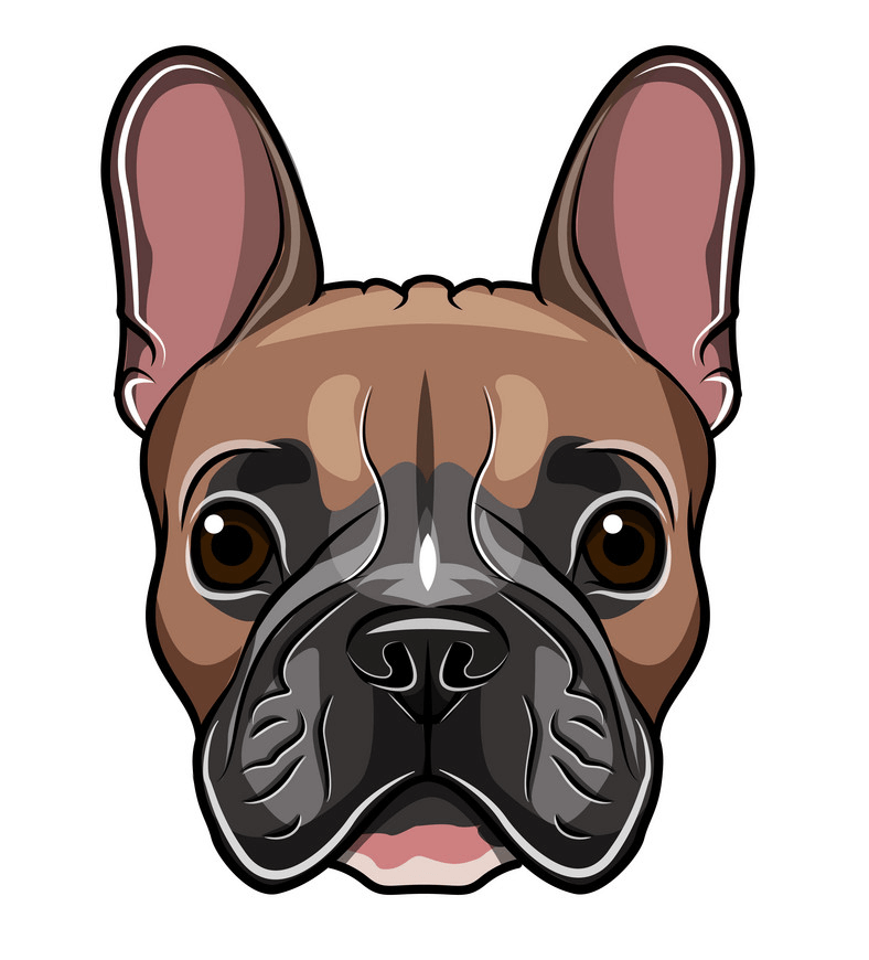 French Bulldog Face clipart png