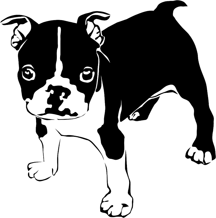French Bulldog clip art png image