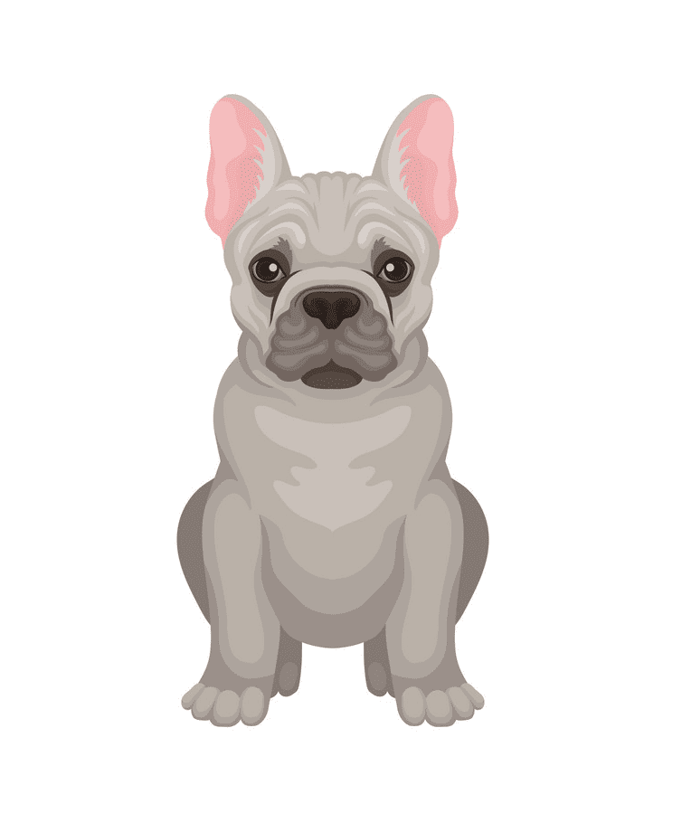French Bulldog clipart for you to download