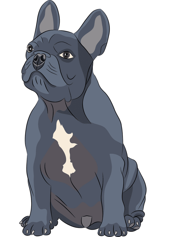 French Bulldog clipart images