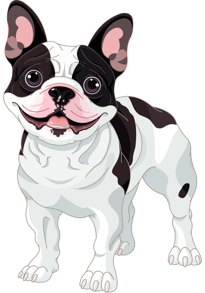 French Bulldog clipart png