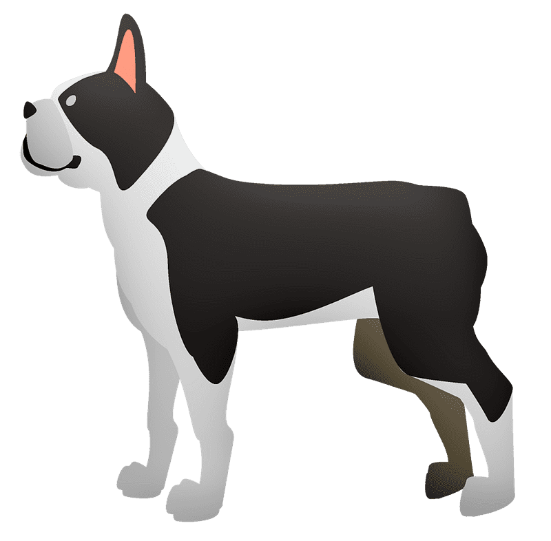 French Bulldog clipart transparent background image