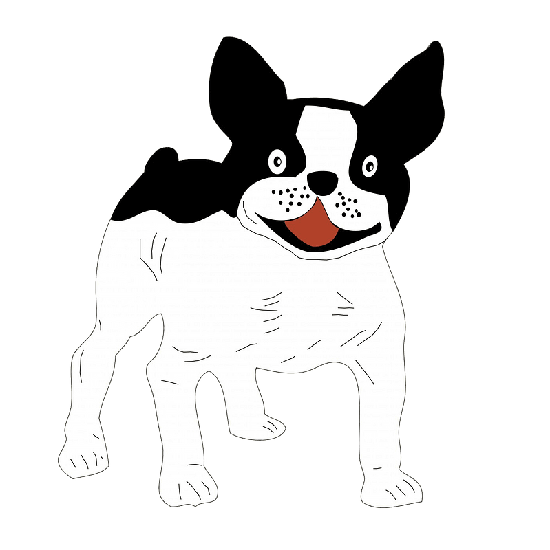French Bulldog clipart transparent background