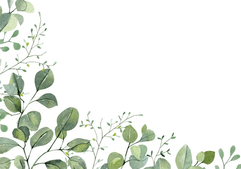 Greenery Border clipart free image