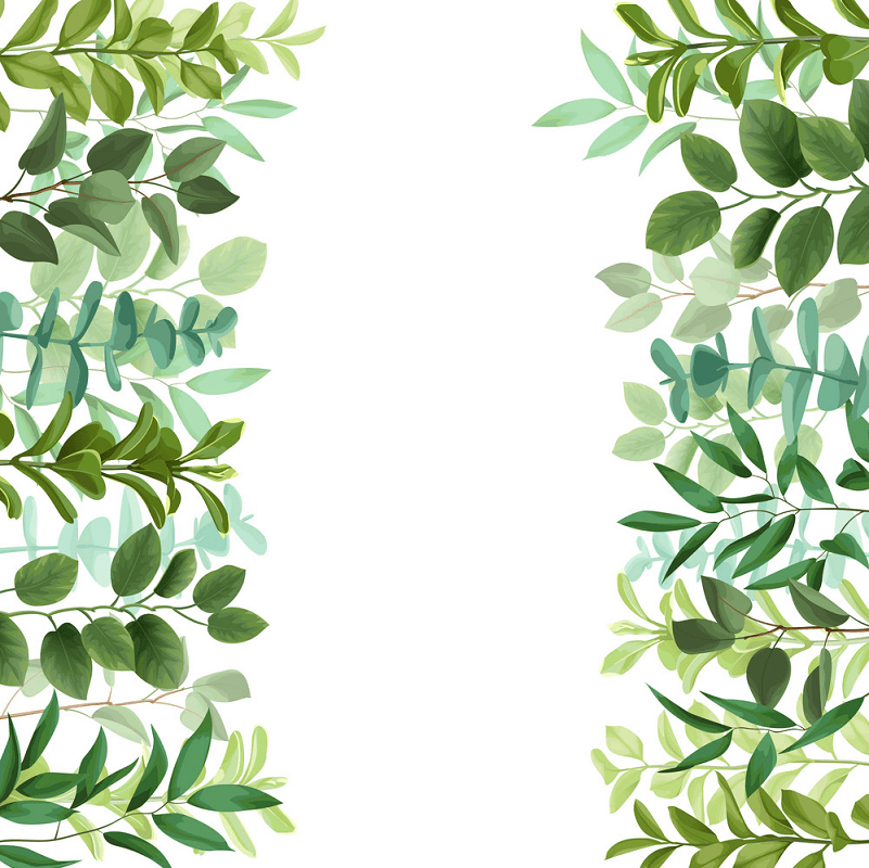 Greenery Border clipart images