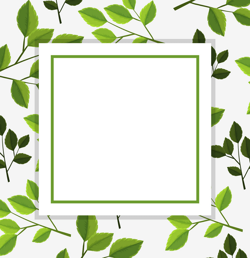 Greenery Border clipart png