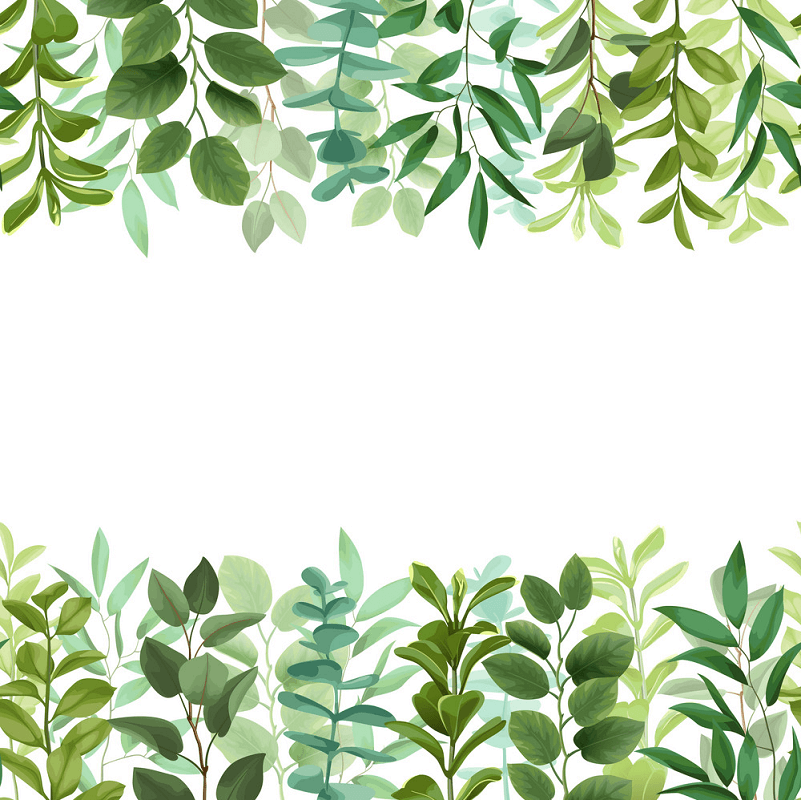 Greenery Border clipart