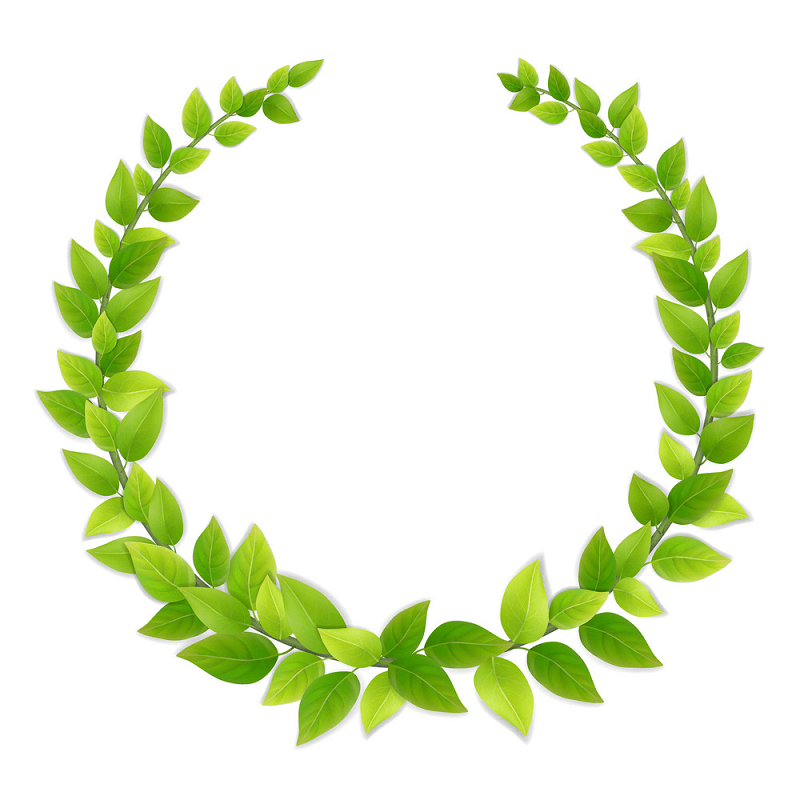 Greenery Wreath clipart 1