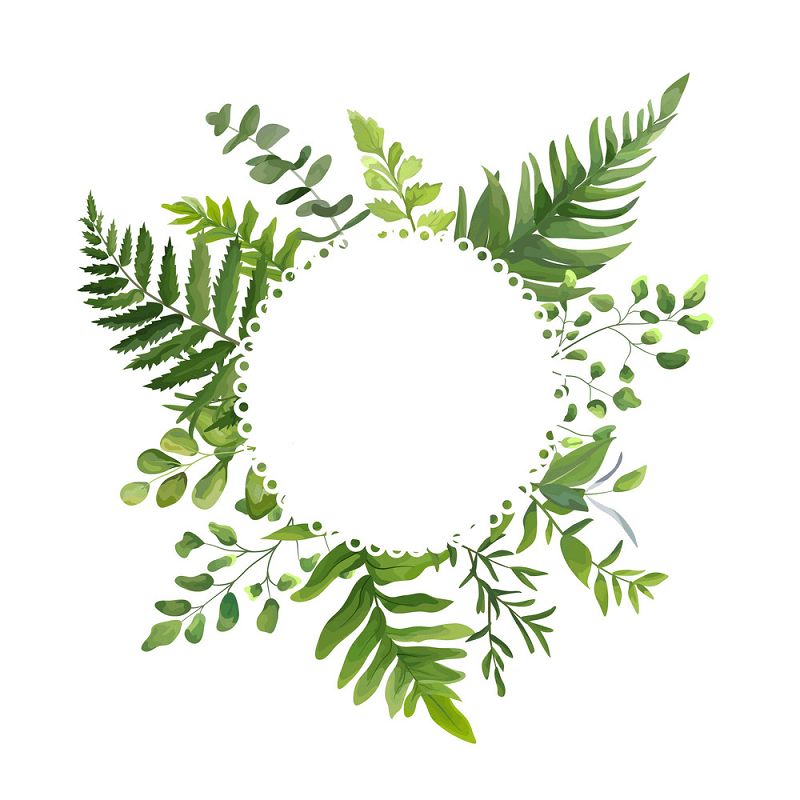 Greenery Wreath clipart png