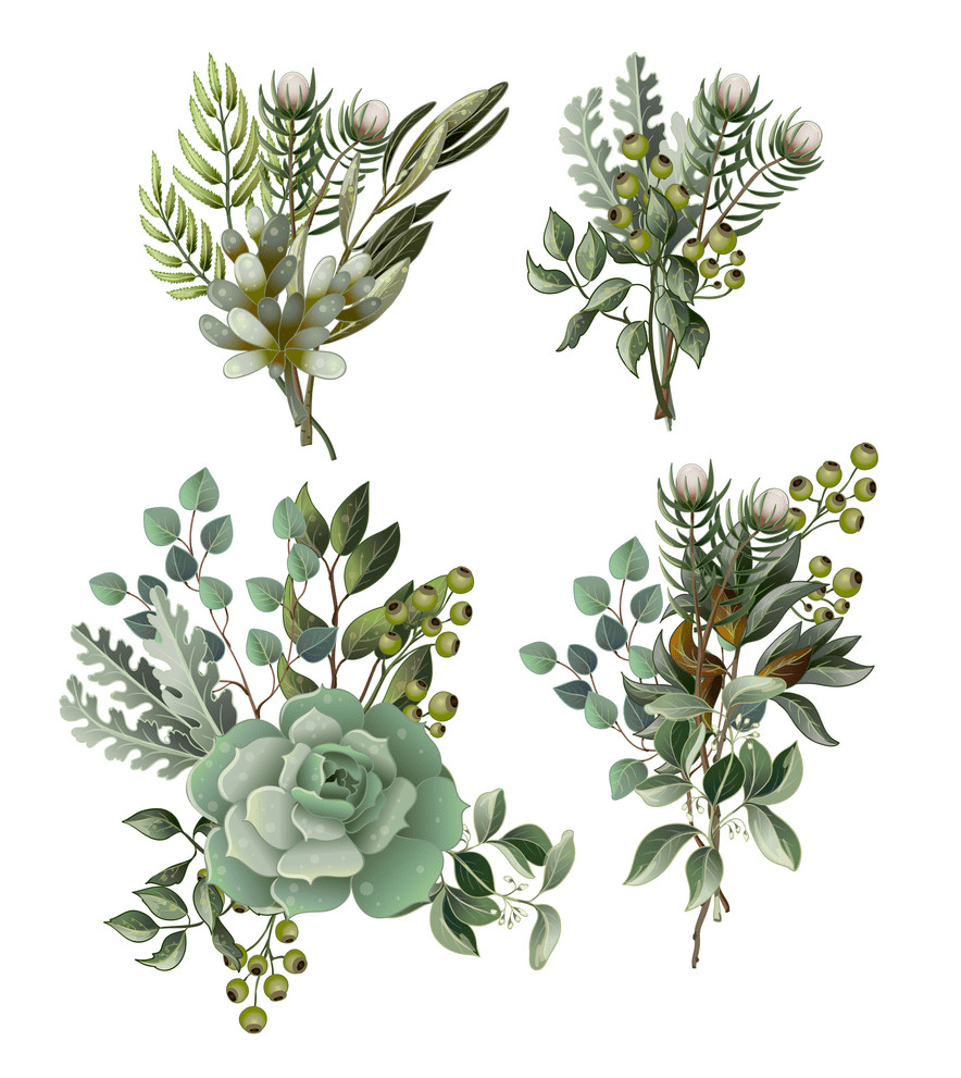 Greenery clipart 12