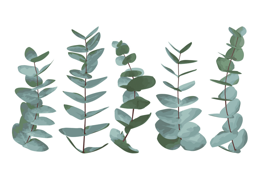 Greenery clipart 2