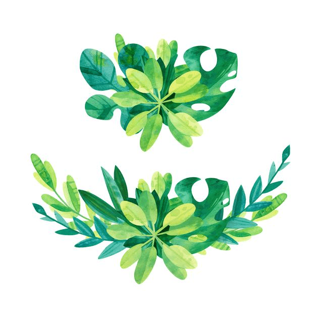 Greenery clipart 7