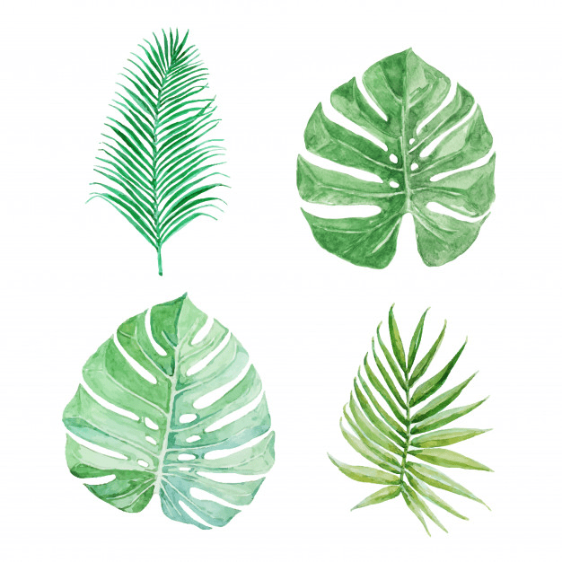 Greenery clipart 8