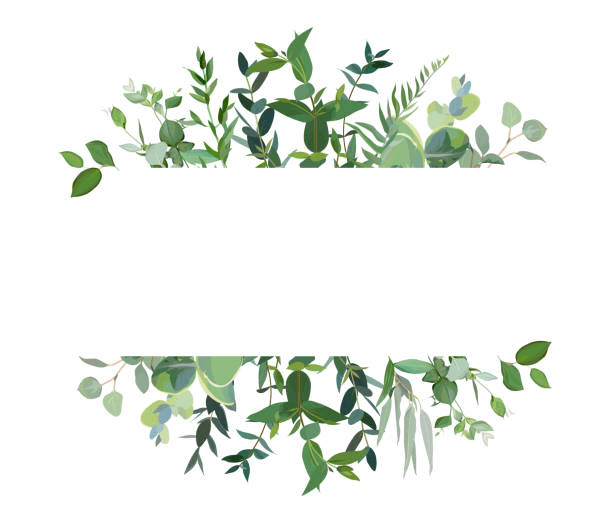 Greenery clipart image