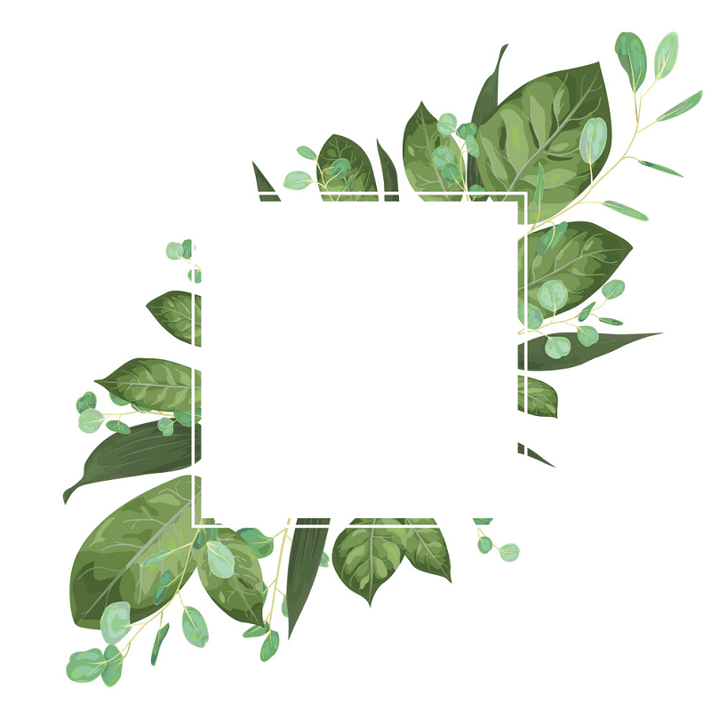 Greenery clipart png images