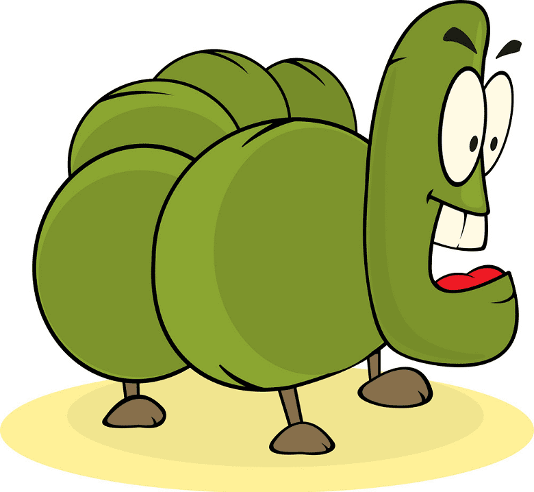 Hungry Caterpillar clipart png