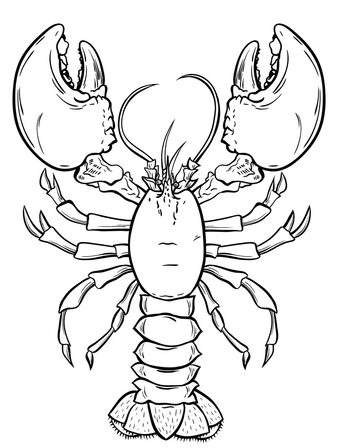 Lobster Clipart Black and White 1