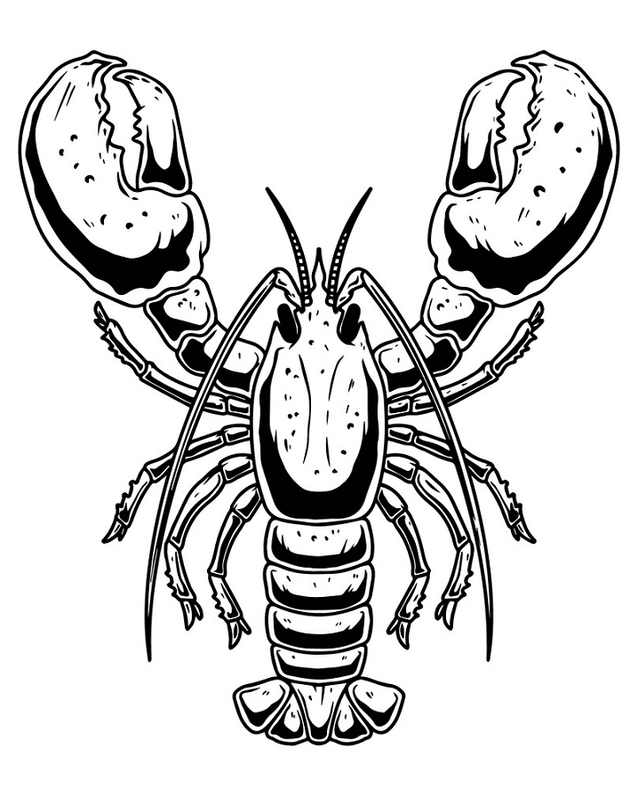 Lobster Clipart Black and White images