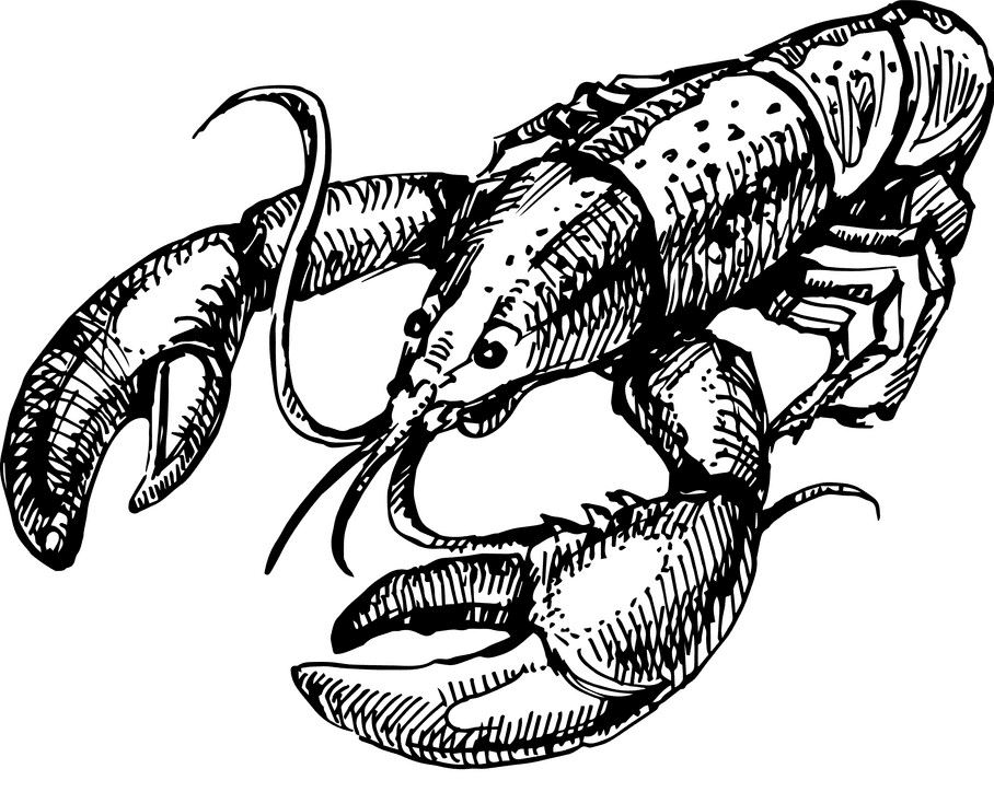Lobster Clipart Black and White png images