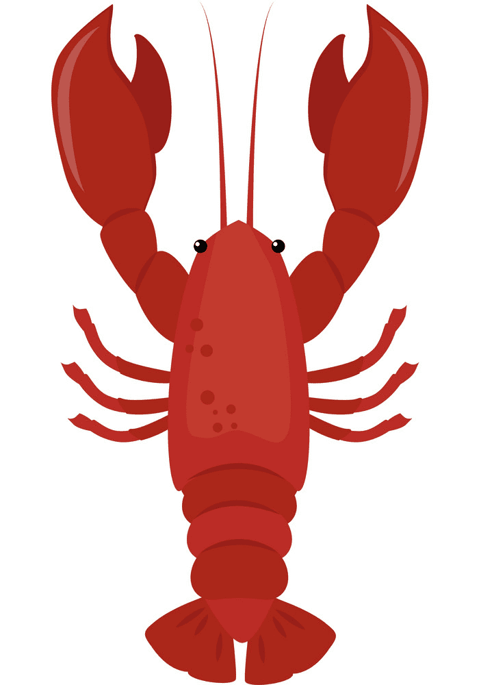 Lobster clipart 1